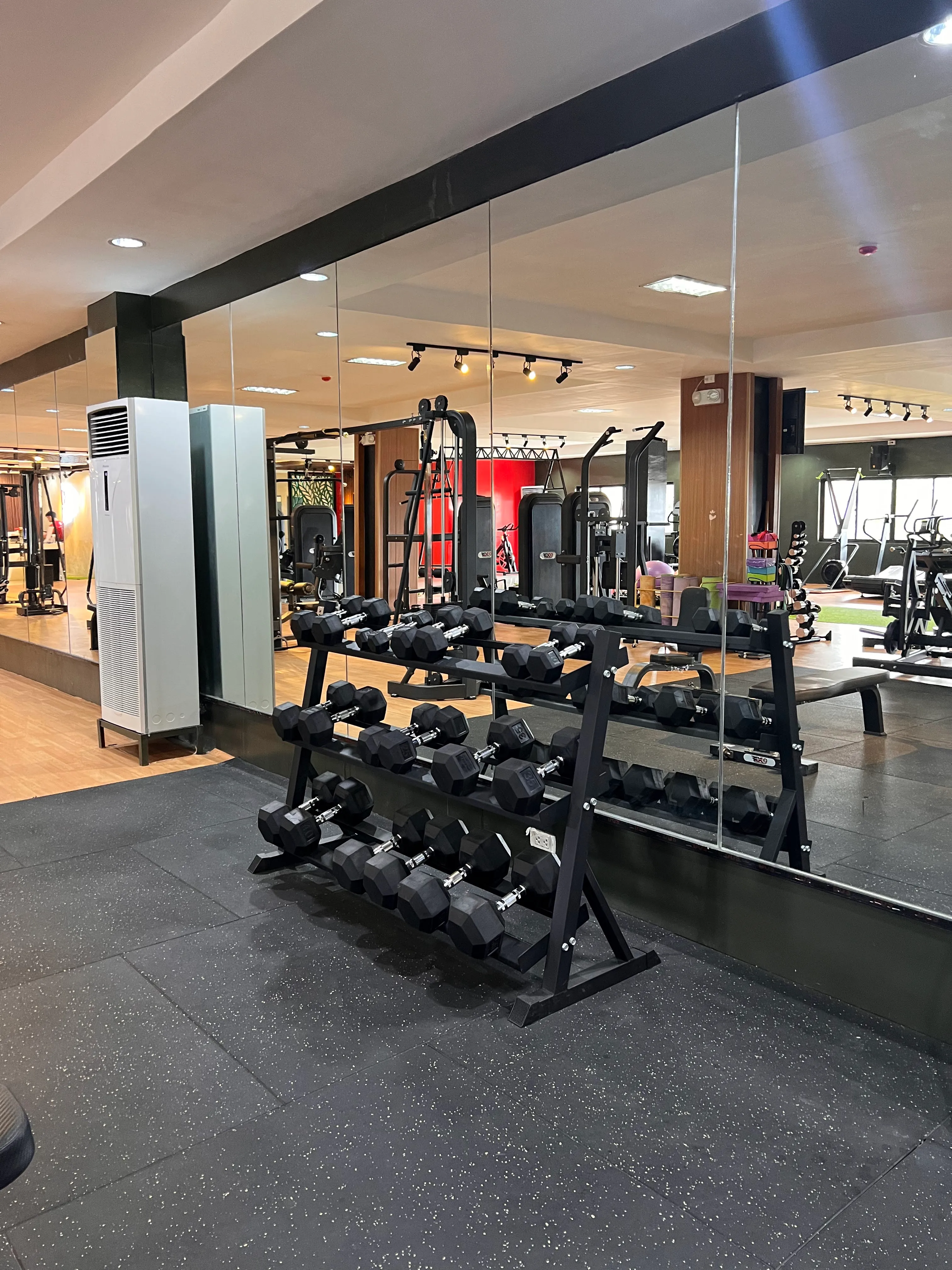 Dumbbell racks in front of the mirror wall