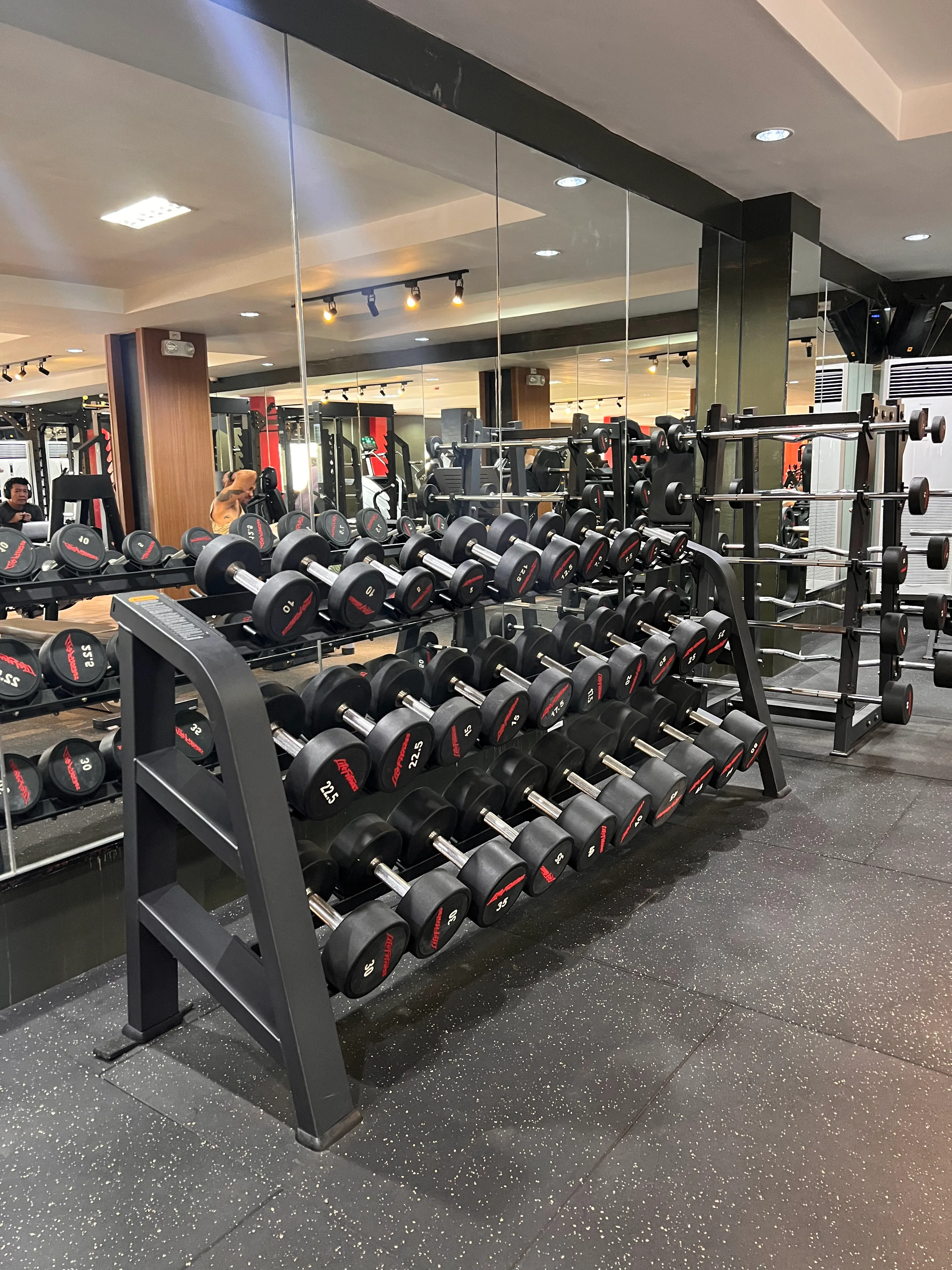 Heavy dumbbell rack